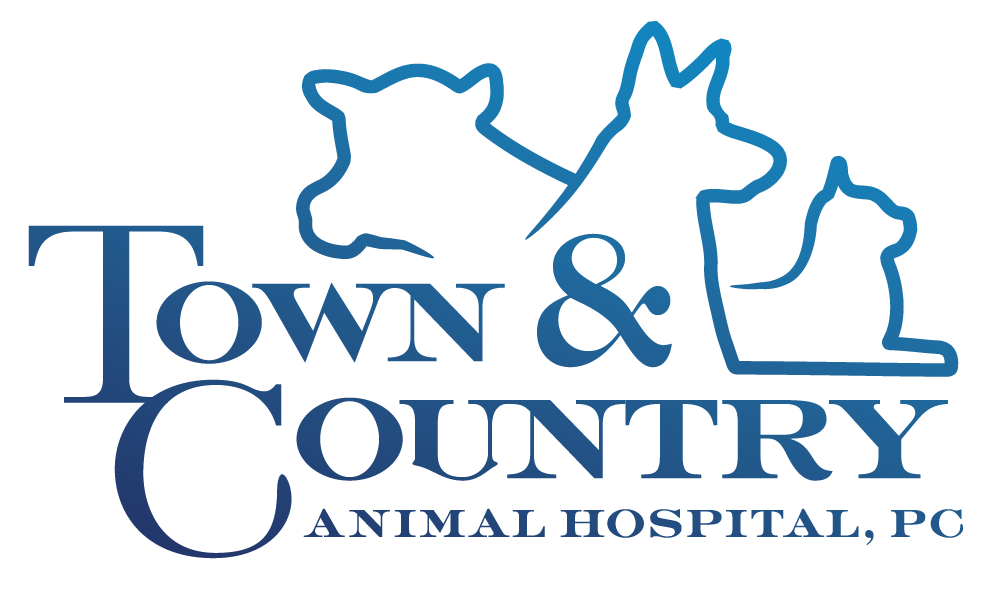 Town and Country Animal Hospital Logo