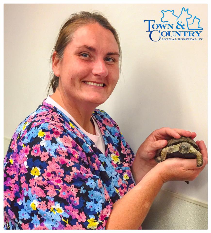 Staff holding turtle