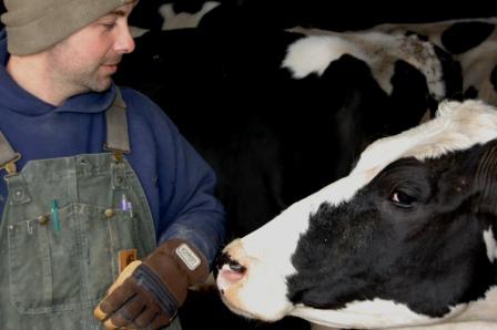 Brian with cow