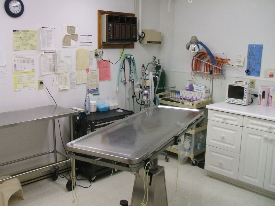 Surgical Suite