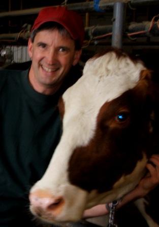 Phil with cow