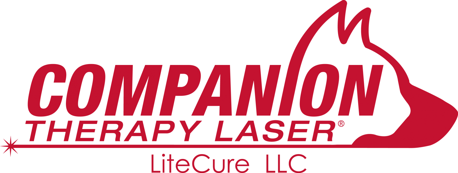 companion Therapy Laser