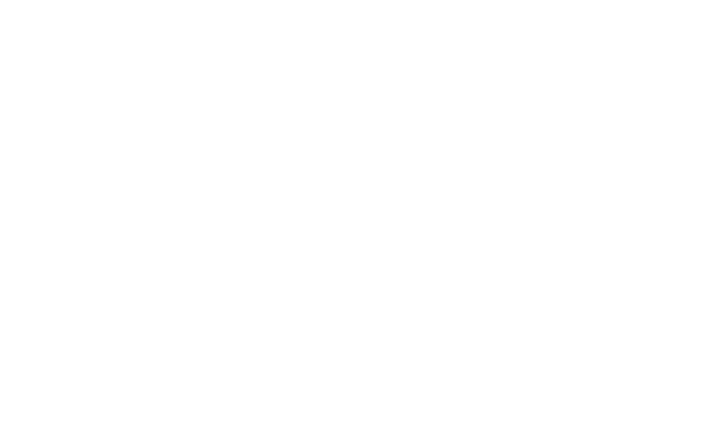 Town and Country Animal Hospital Logo